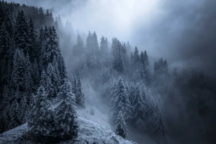 markdown image example